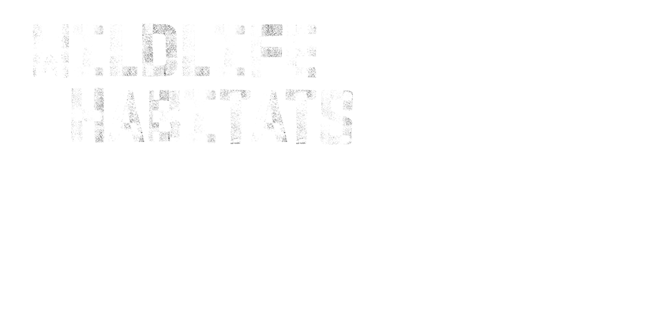 Wildlife and habitats