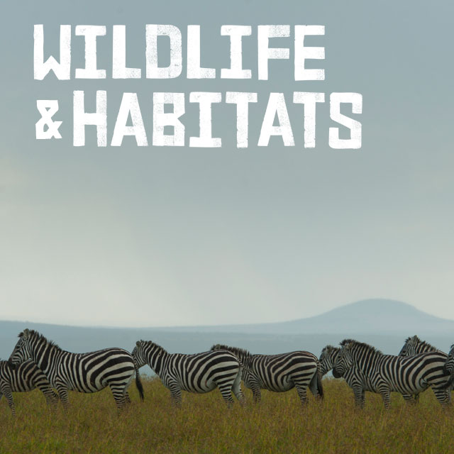 Wildlife and habitats
