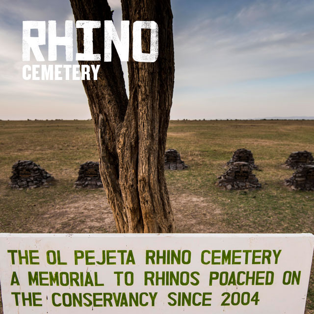 Rhino Memorial