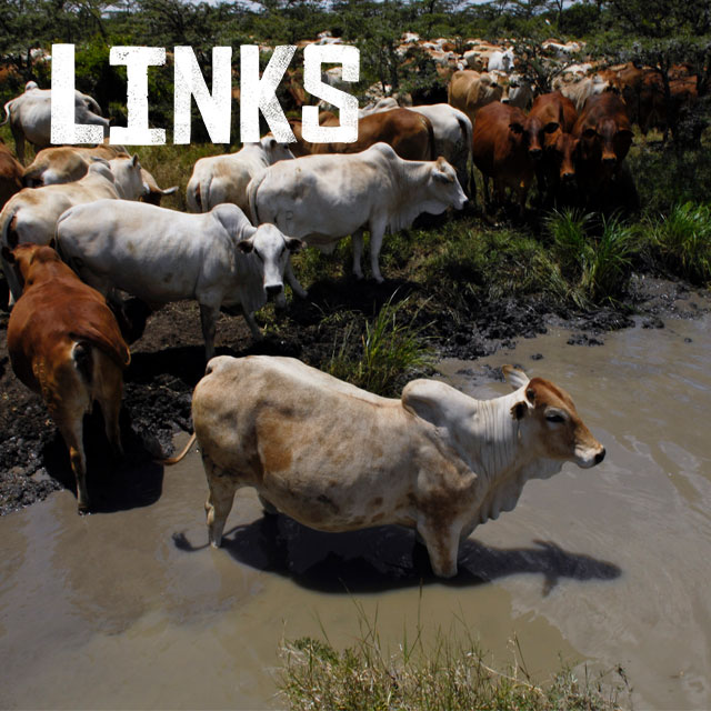 Links