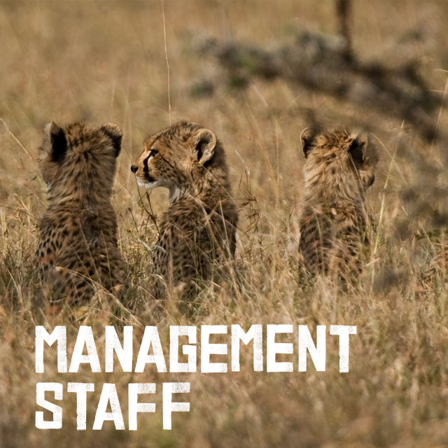 Our Management Team