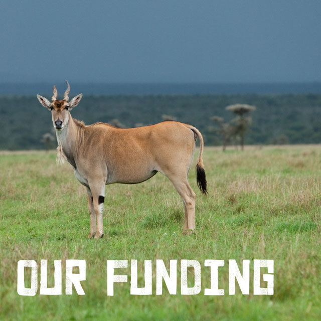 Our funding