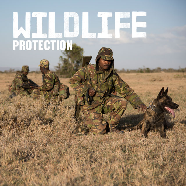 Wildlife protection