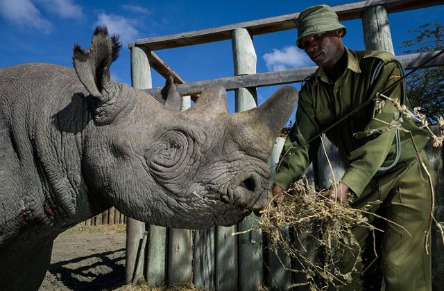 Destinations - Baraka