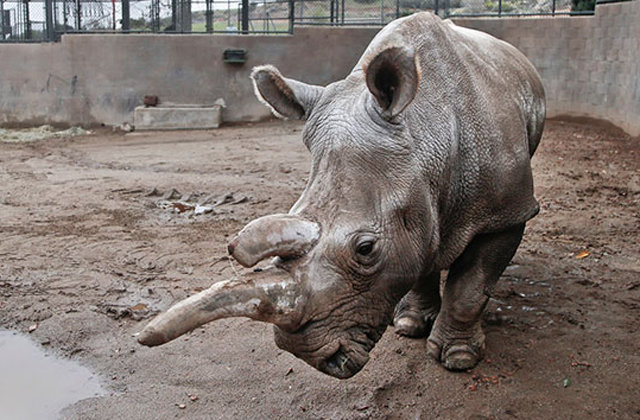 And then there were three...