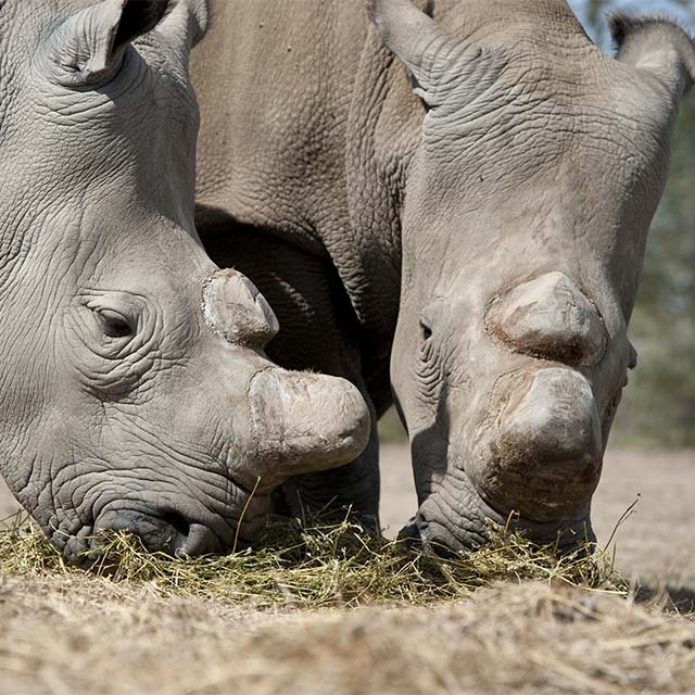 An update on our fundraising drive