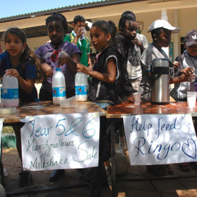 Hillcrest School Raises Money for Ringo!