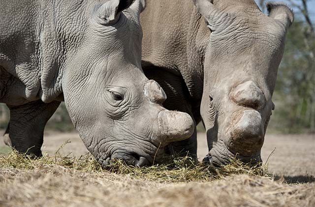 An update on our fundraising drive