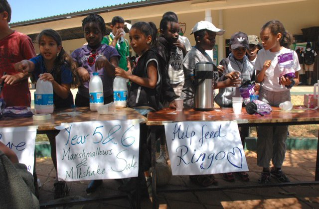 Hillcrest School Raises Money for Ringo!