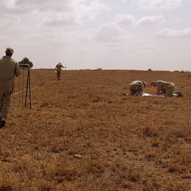 Teaming Up To Tackle Ticks