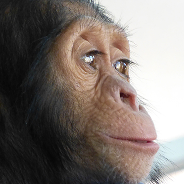 Getting Manno to Sweetwaters