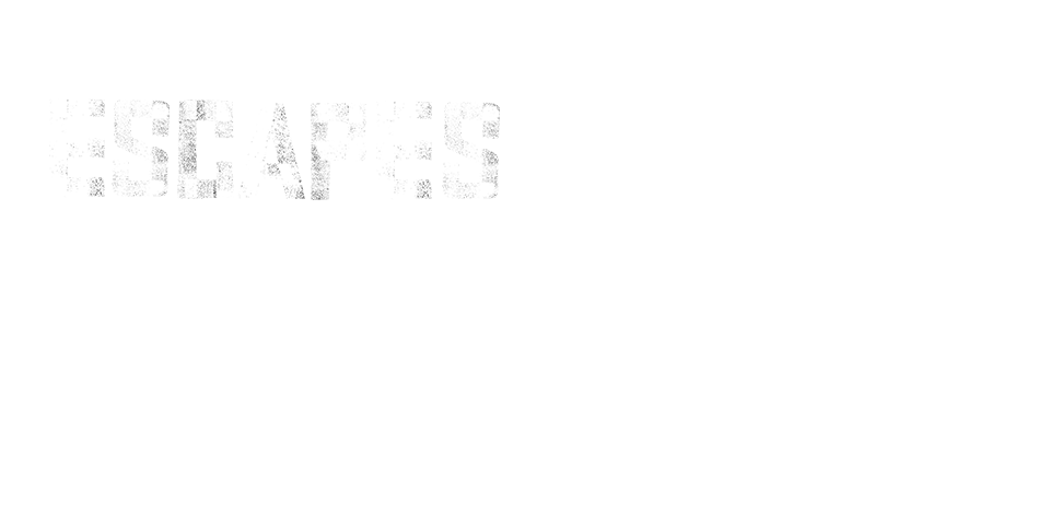 Ol Pejeta Escapes