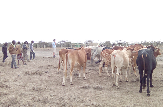 PRESS RELEASE: OL PEJETA STEPS UP IN TIME OF DROUGHT