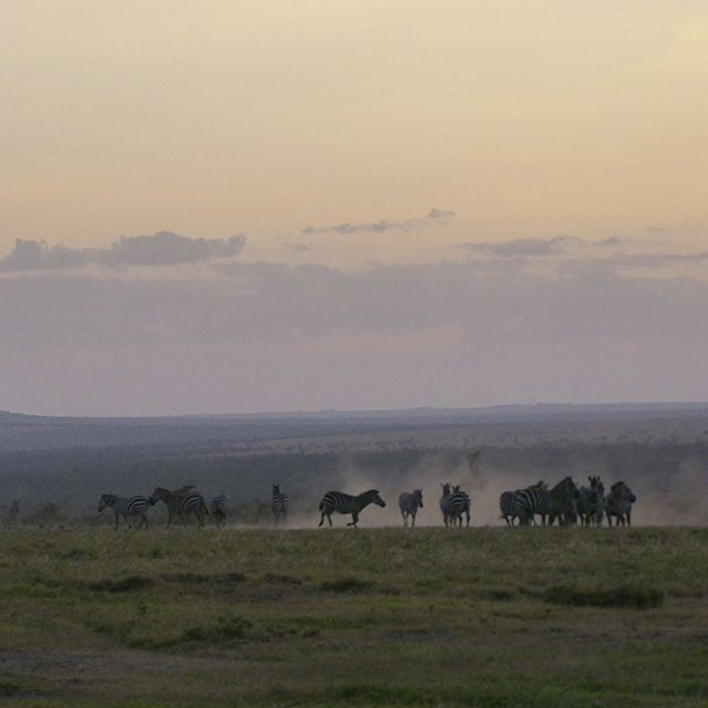 PRESS RELEASE FROM KTB and KTF ON THE SITUATION IN LAIKIPIA