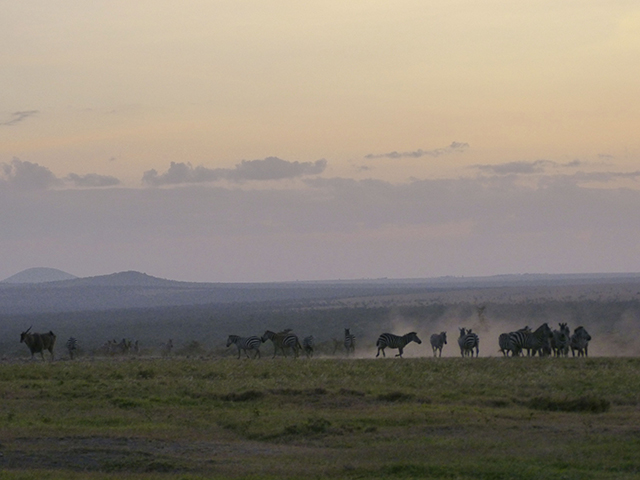 PRESS RELEASE FROM KTB and KTF ON THE SITUATION IN LAIKIPIA