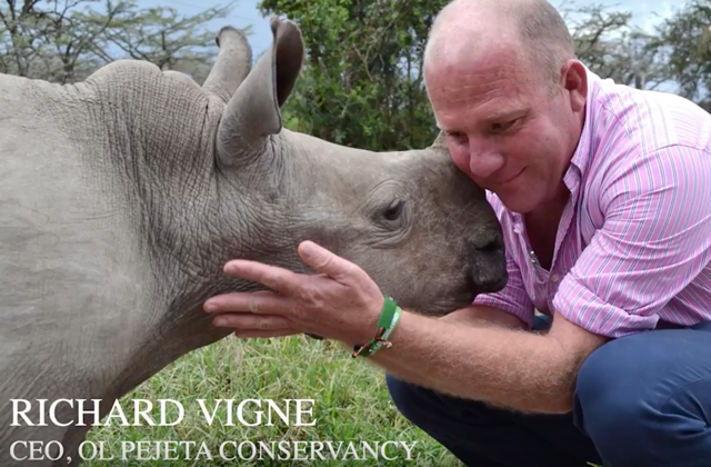 LONDON STEPS UP TO SUPPORT RHINO CONSERVATION