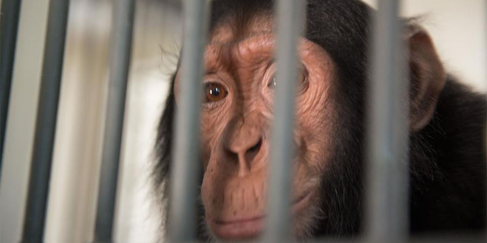 Be Part of Manno's Extraordinary Story