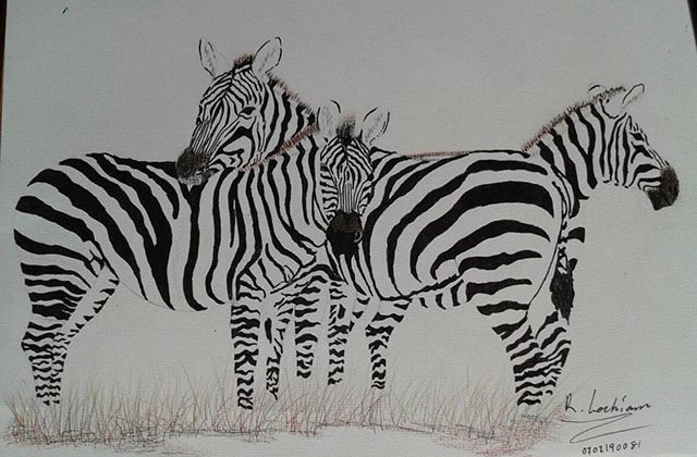 Wildlife guardian, artist, nature champion!