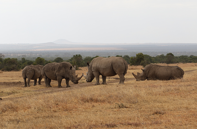 DARWIN GRANT TO SECURE HABITATS, IMPROVE LIVES IN NEW MUTARA CONSERVANCY