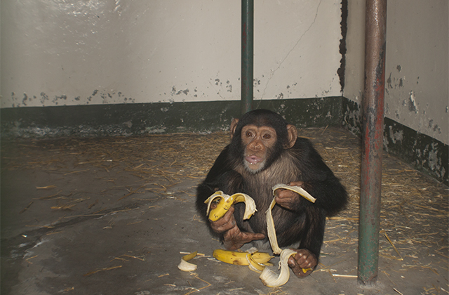 The Sweetwaters Family Gets Bigger – Bo and Bella Finally Arrive!