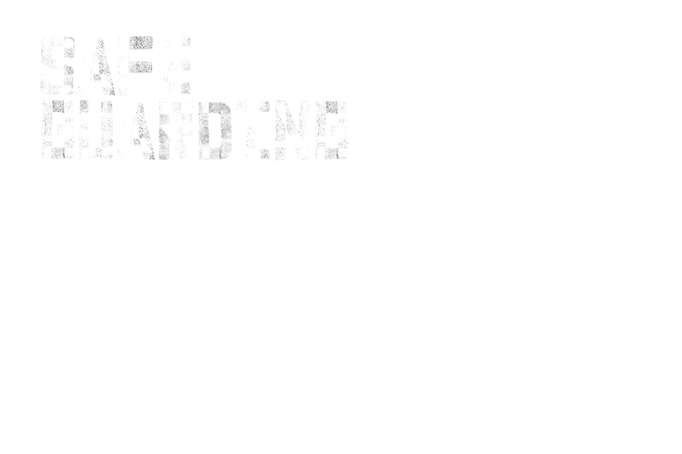 Safeguarding the vulnerable