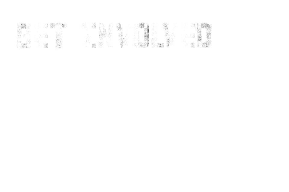 Volunteer Programme