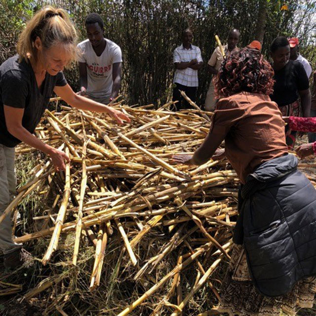 The Guardian Project