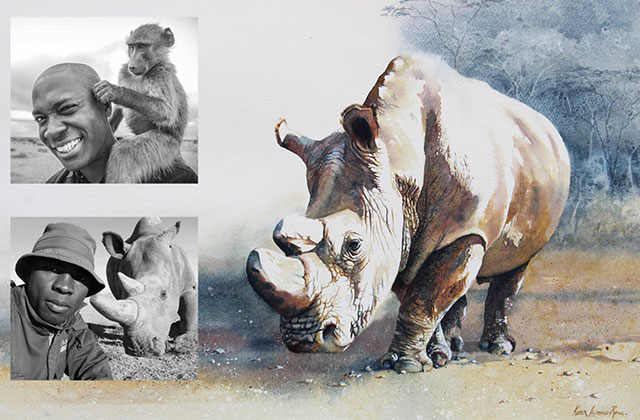 Rhinos’ Road to Recovery