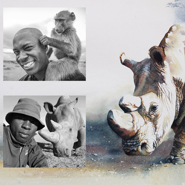 Rhinos’ Road to Recovery