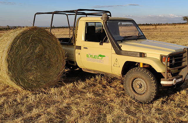 Making hay while the sun shines