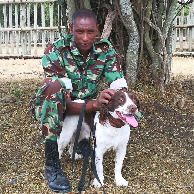 Drum roll for our latest rhino hero