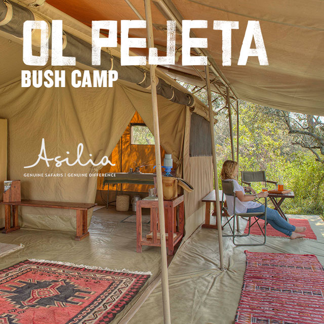 Ol Pejeta Bush Camp