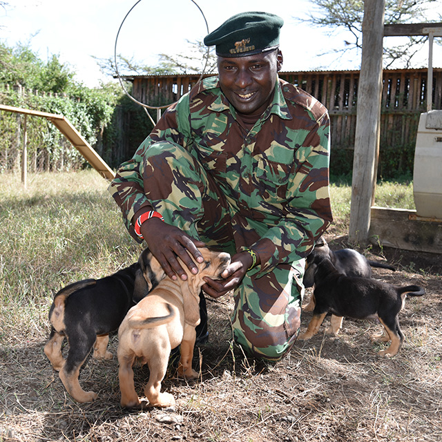 Next generation of K-9 rangers born at Ol Pejeta