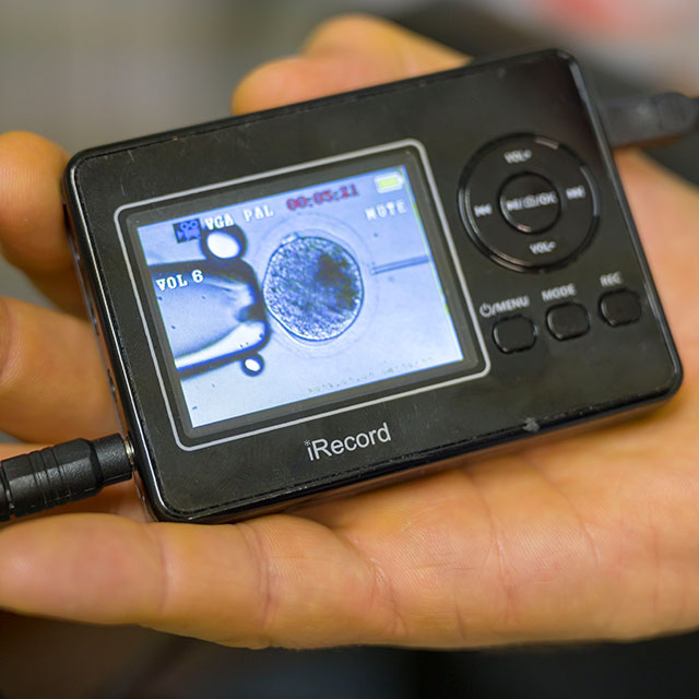 NEWS RELEASE | Northern White Rhino Eggs Successfully Fertilised