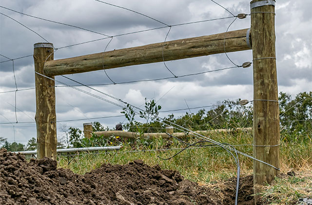 One step ahead with Kifaru Rising