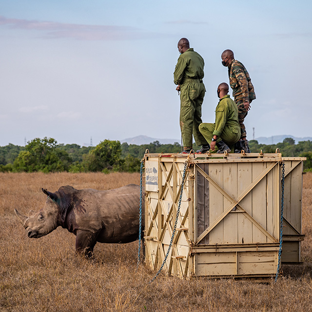 Bubbles and Barry Move Home