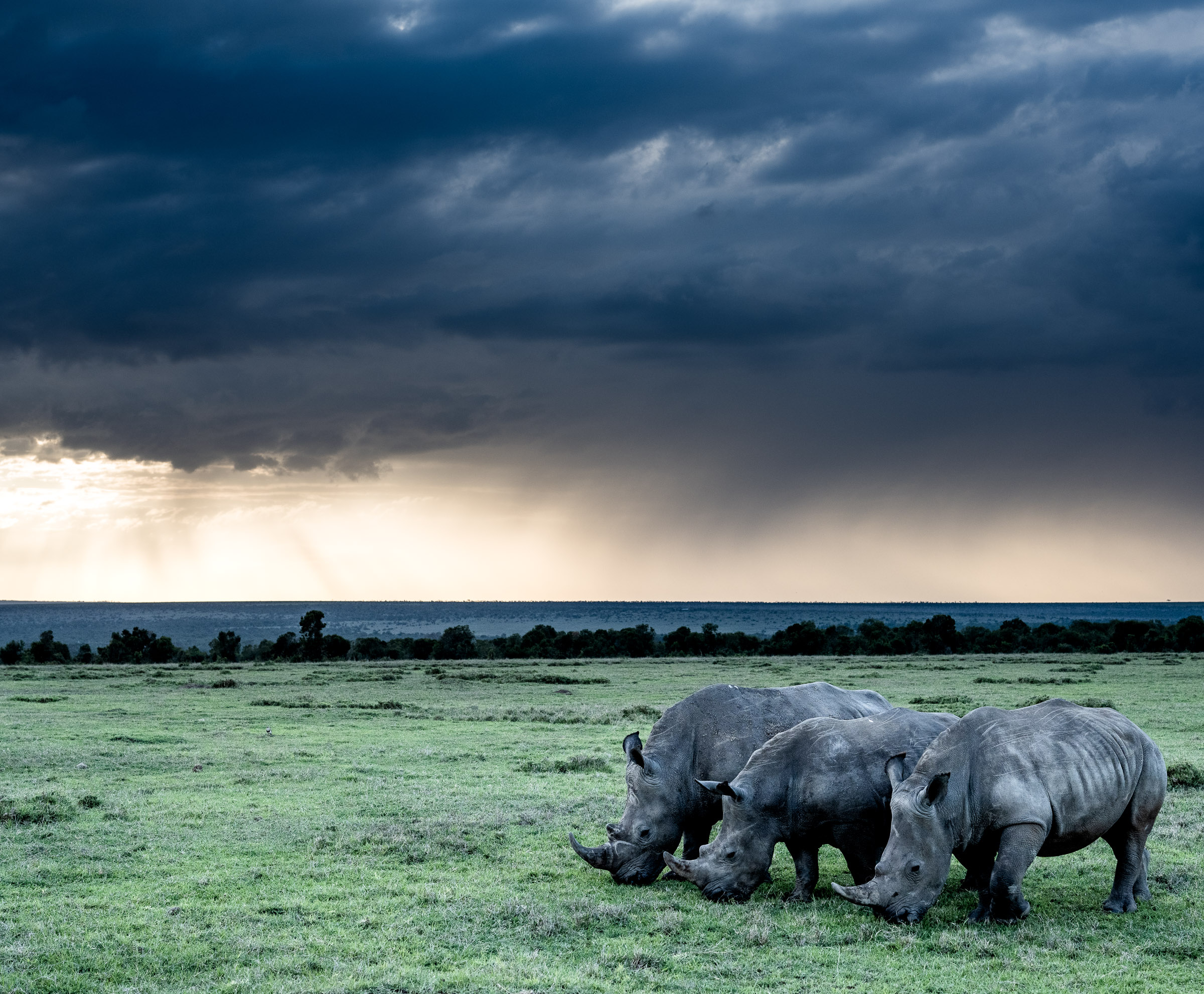 Updated Bookings, Payment and Cancellation Policy